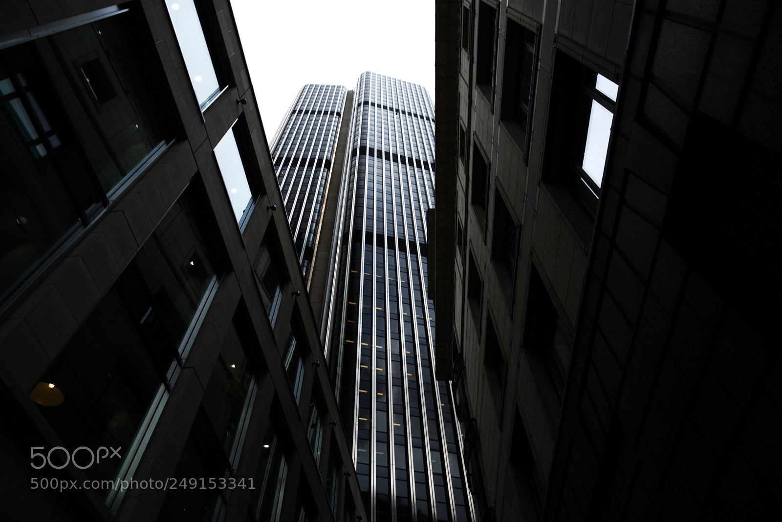 Nikon D810 sample photo. Look up photography