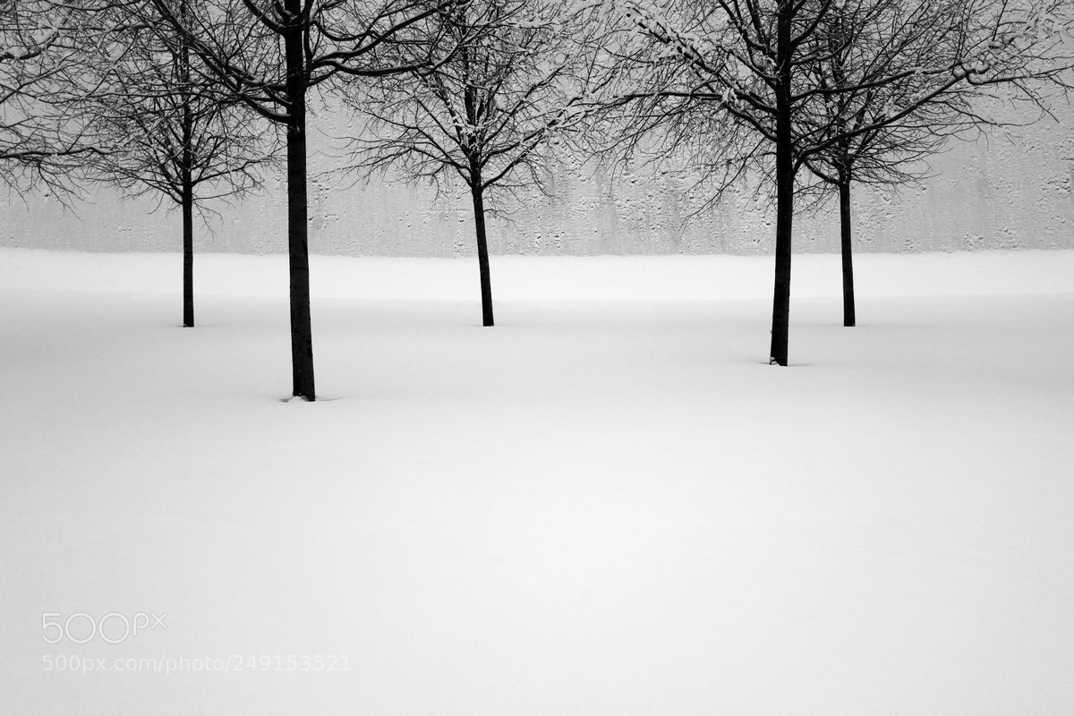 Leica Q (Typ 116) sample photo. Winter in the city. photography