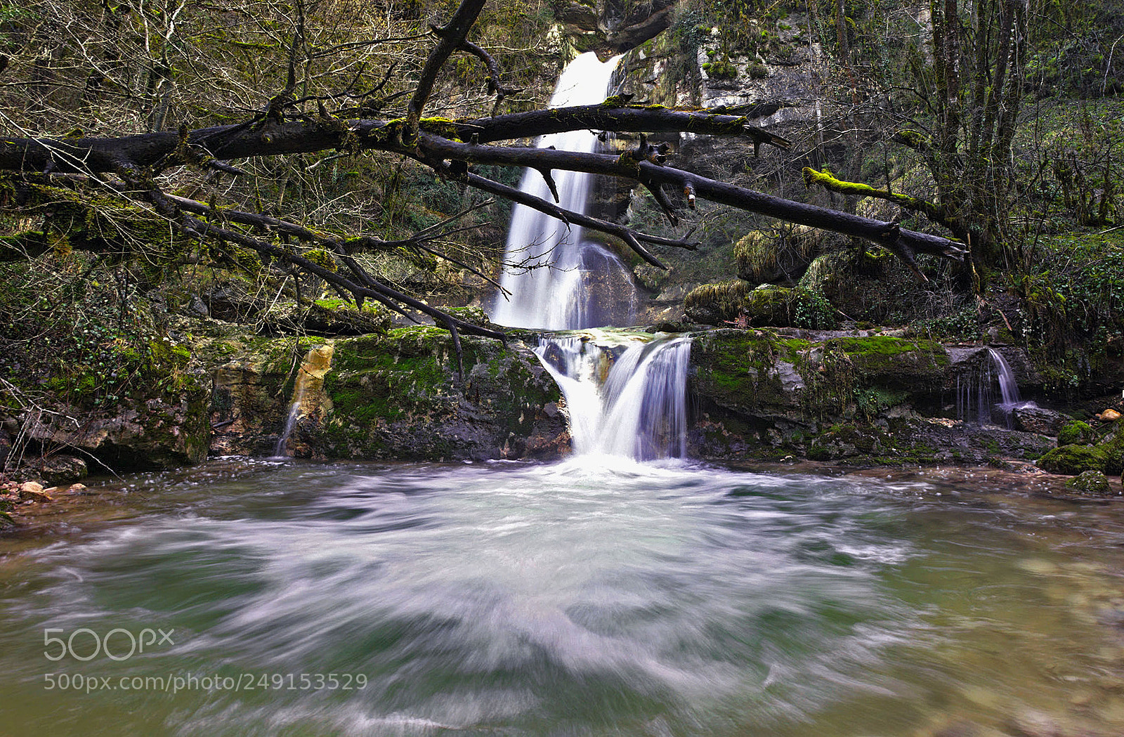 Sony ILCA-77M2 sample photo. Colors wild photography