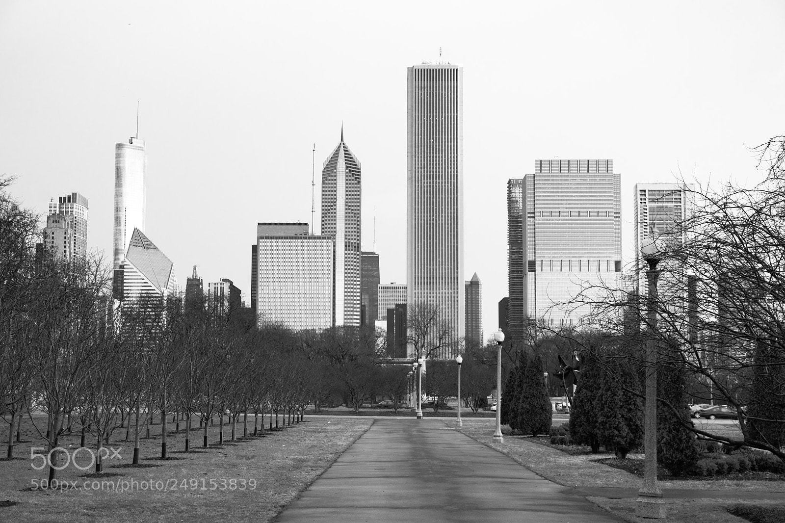 Sony Alpha DSLR-A900 sample photo. Chicago downtown city skyline photography