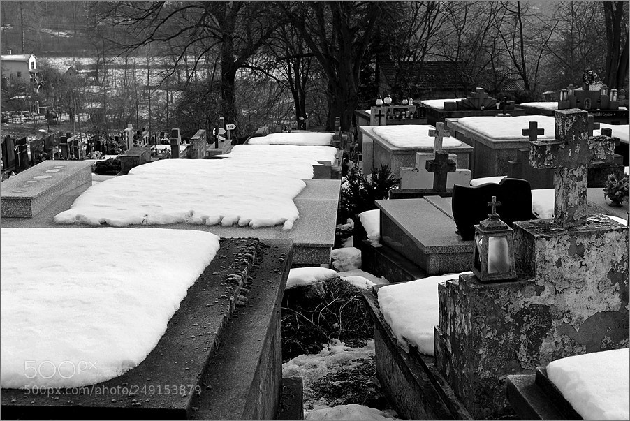 Nikon D610 sample photo. Winter ledgers photography