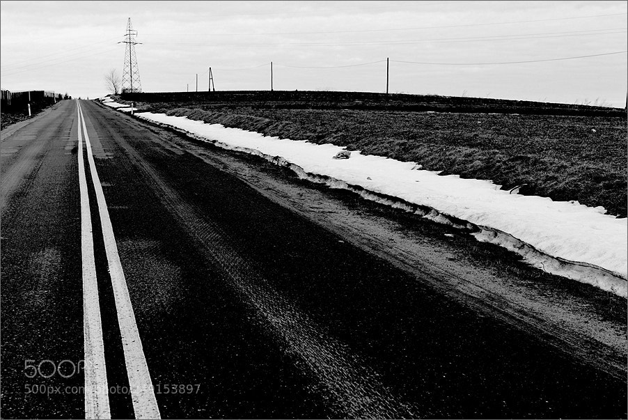 Nikon D610 sample photo. Solid lines photography