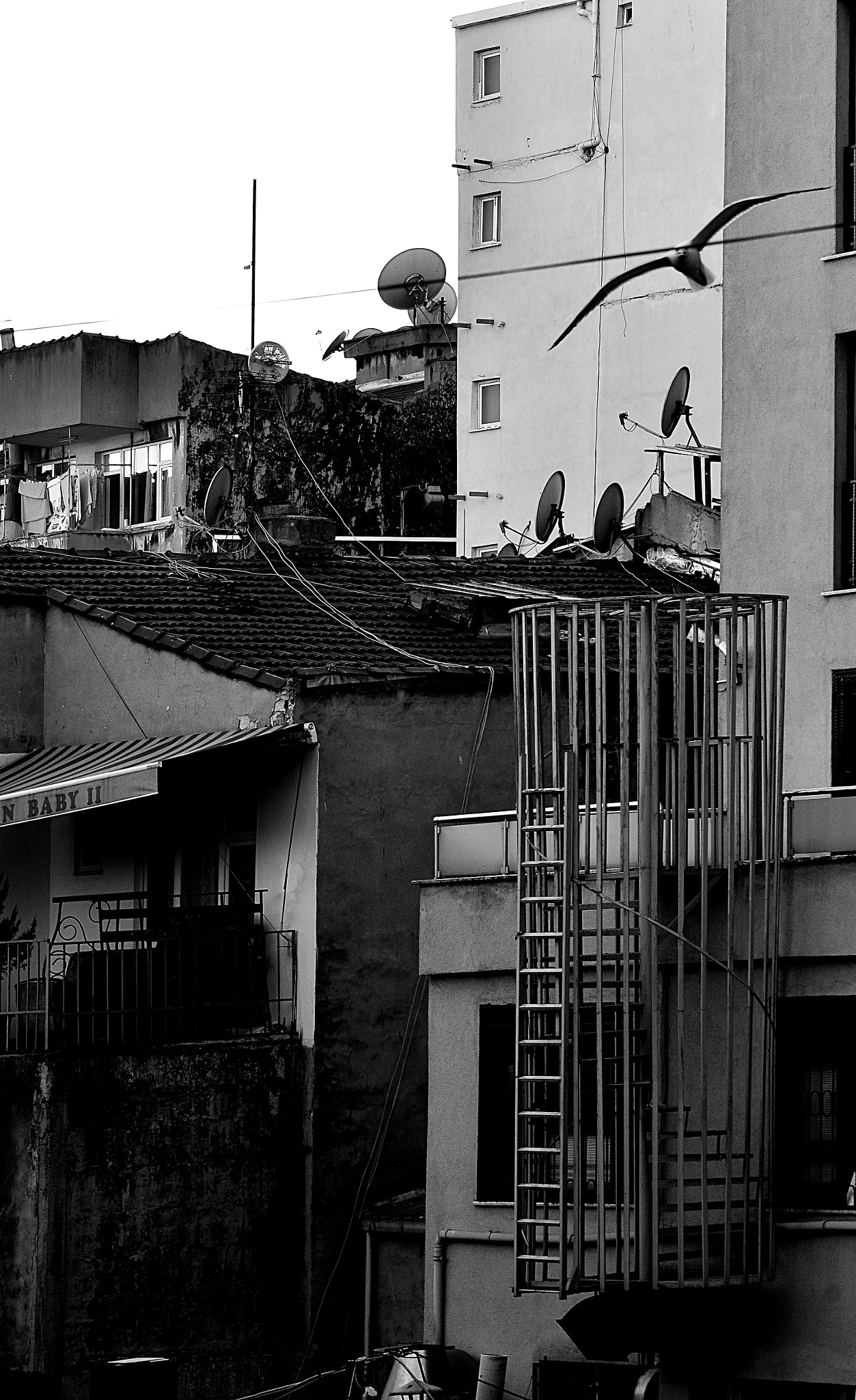 Nikon D7000 sample photo. Oa27 photography
