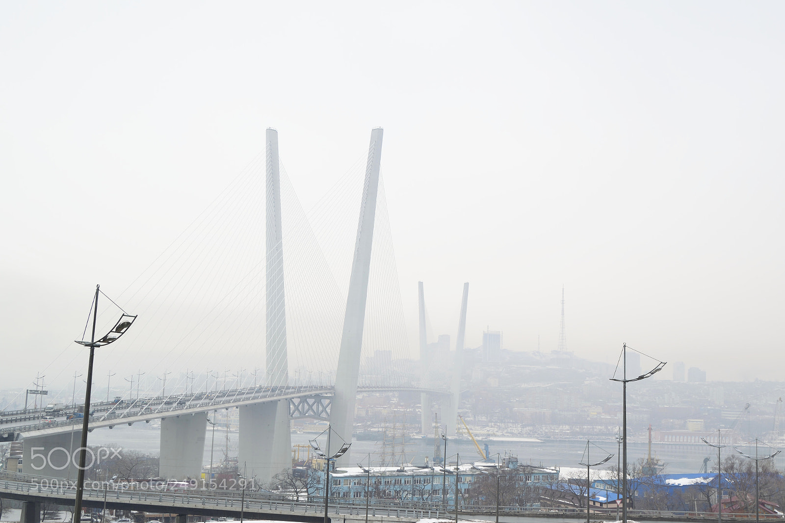 Nikon D3300 sample photo. In the fog. photography