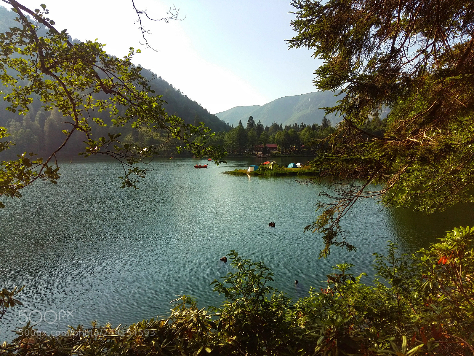Samsung Galaxy A5 sample photo. Nature photography