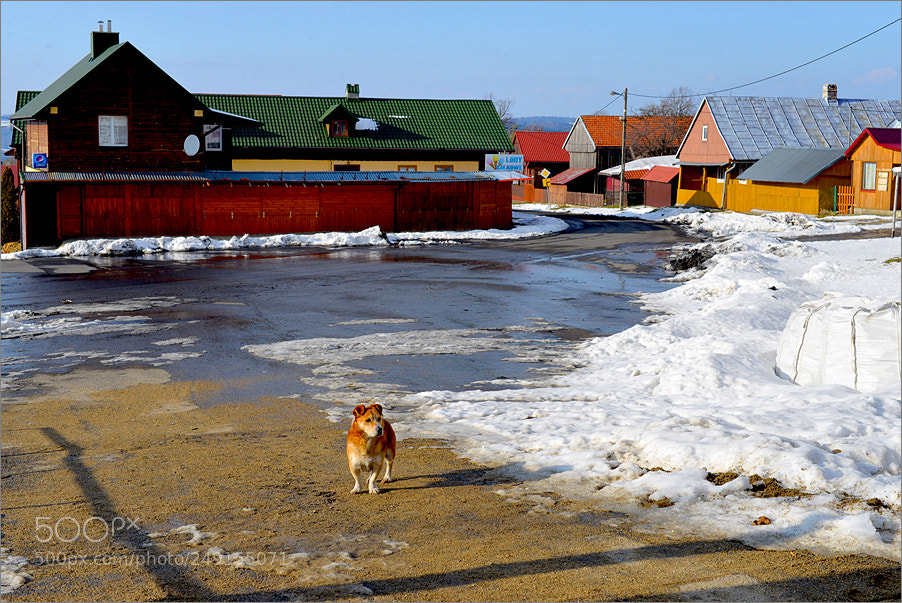 Nikon D610 sample photo. Colors of a rural photography