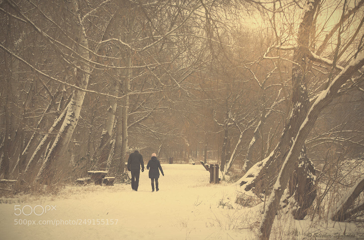 Nikon D750 sample photo. Love in winter photography