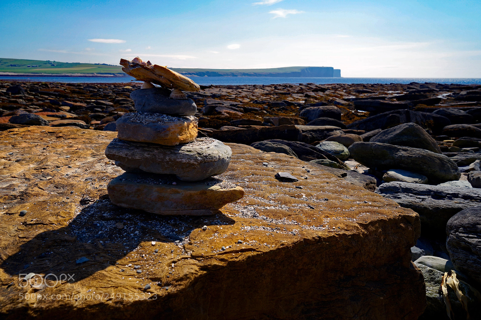 Sony a7 sample photo. Beach life, birsay island photography