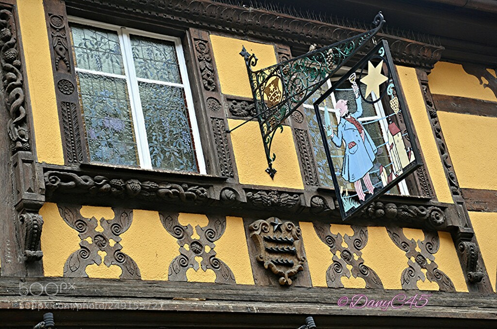 Nikon D5100 sample photo. Alsace (12) photography