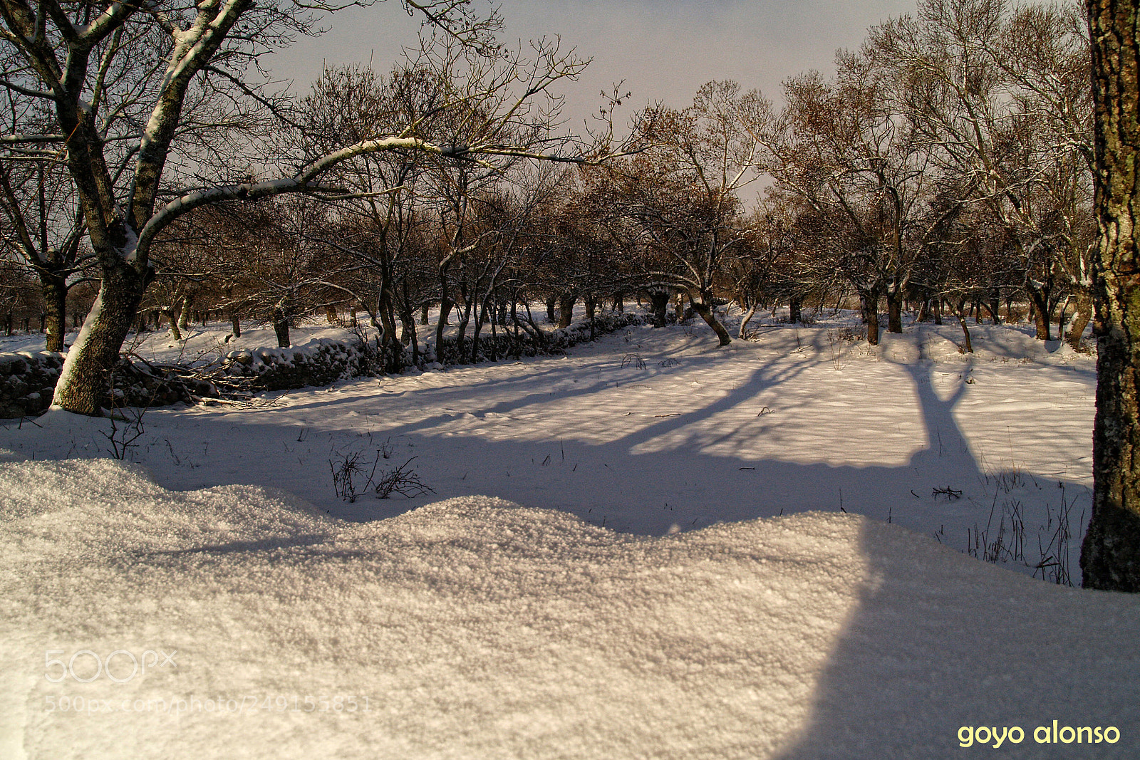 Olympus E-500 (EVOLT E-500) sample photo. Nevada photography