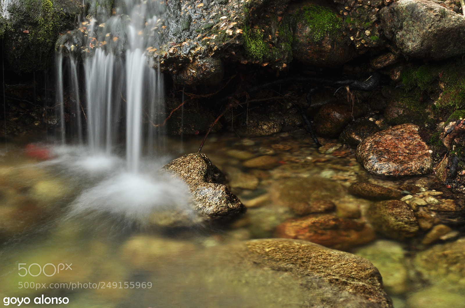 Nikon D5000 sample photo. Agua viva photography