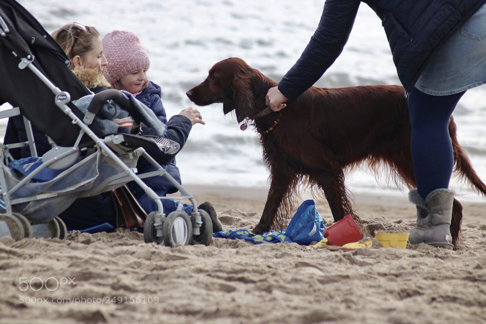 Canon EOS 750D (EOS Rebel T6i / EOS Kiss X8i) sample photo. New friendship photography