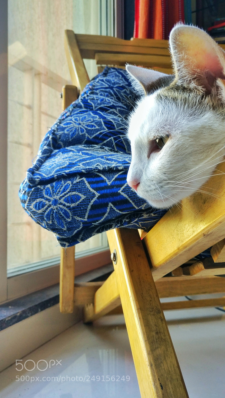 OnePlus A3003 sample photo. Another one with lua photography