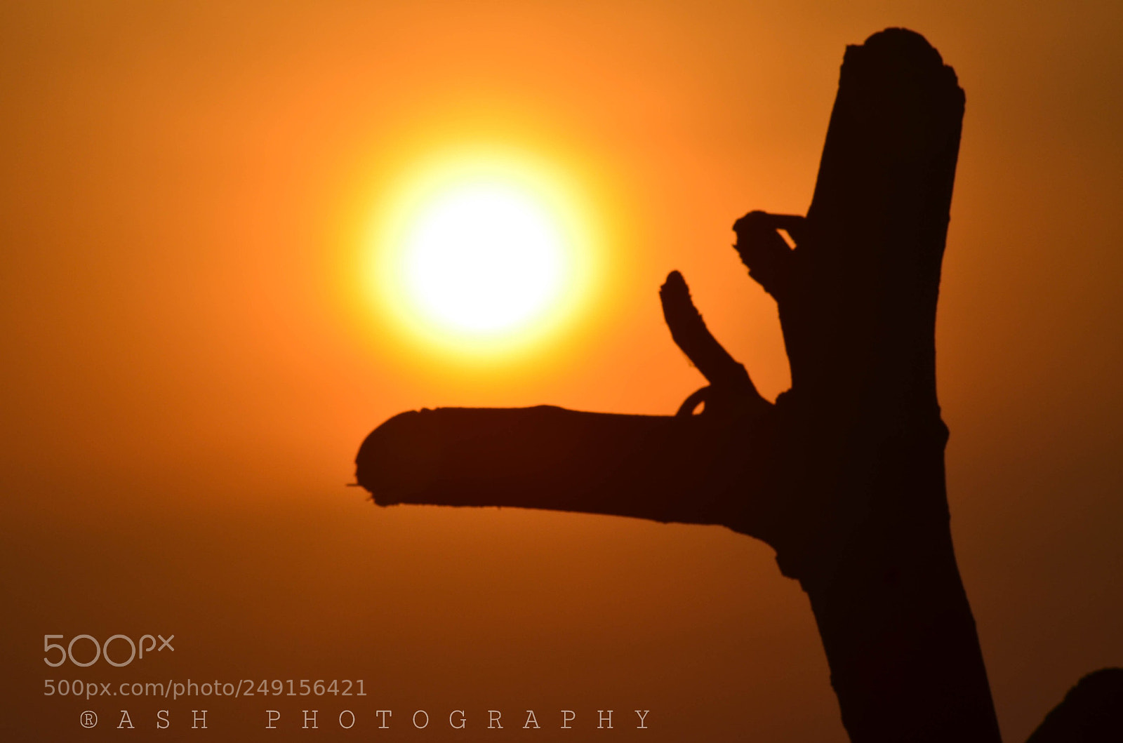 Nikon D5100 sample photo. Untitled photography