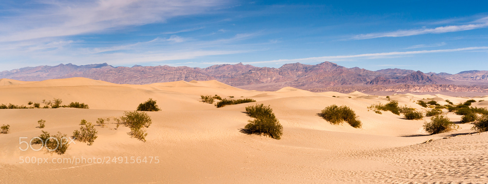 Sony Alpha DSLR-A900 sample photo. Landscape nature desert sand photography