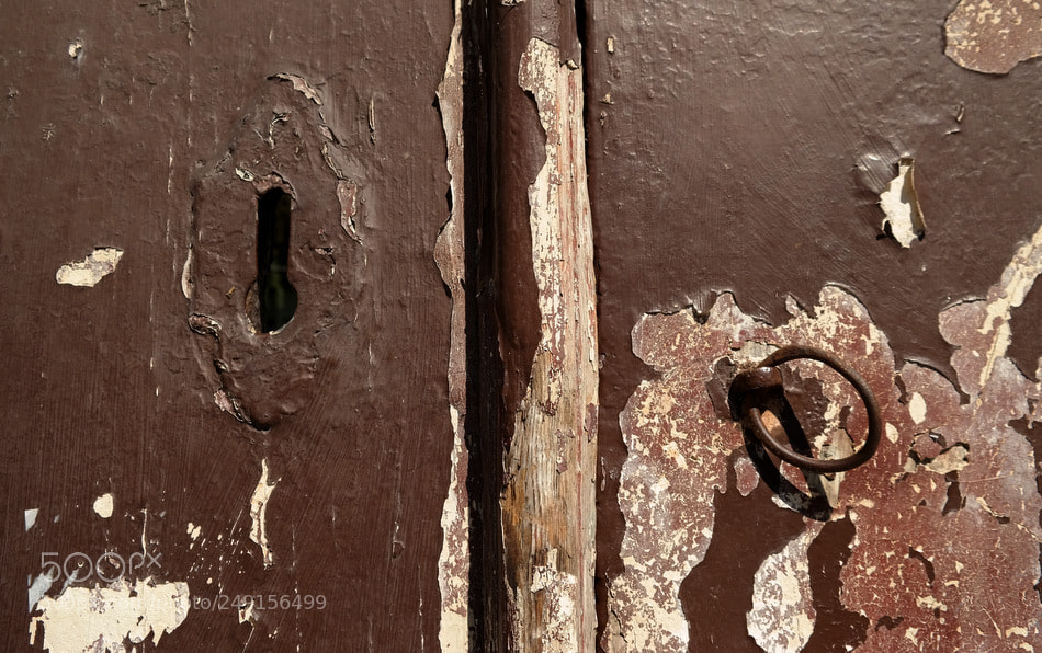 Samsung NX300 sample photo. ... photography