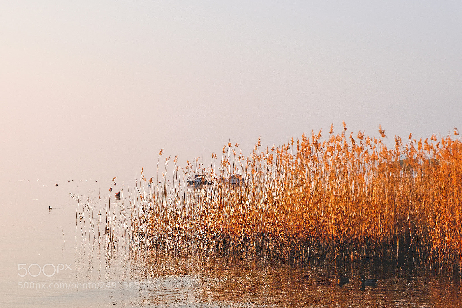 Fujifilm X-T20 sample photo. Lake photography