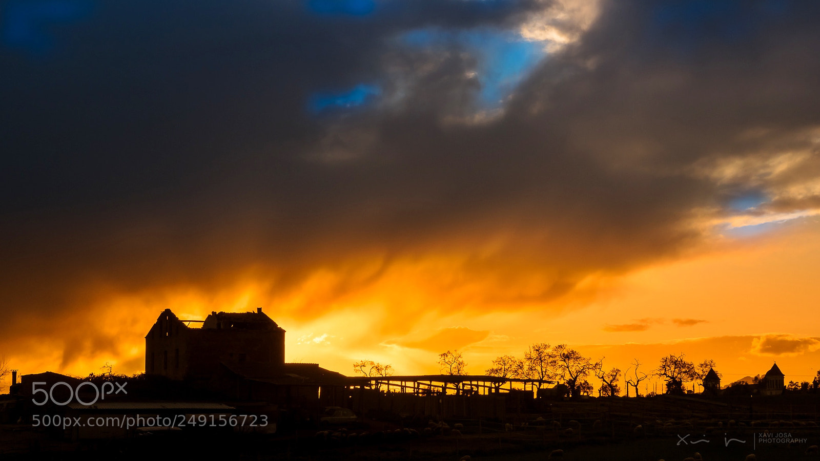 Olympus OM-D E-M1 Mark II sample photo. Sunset fire.. photography