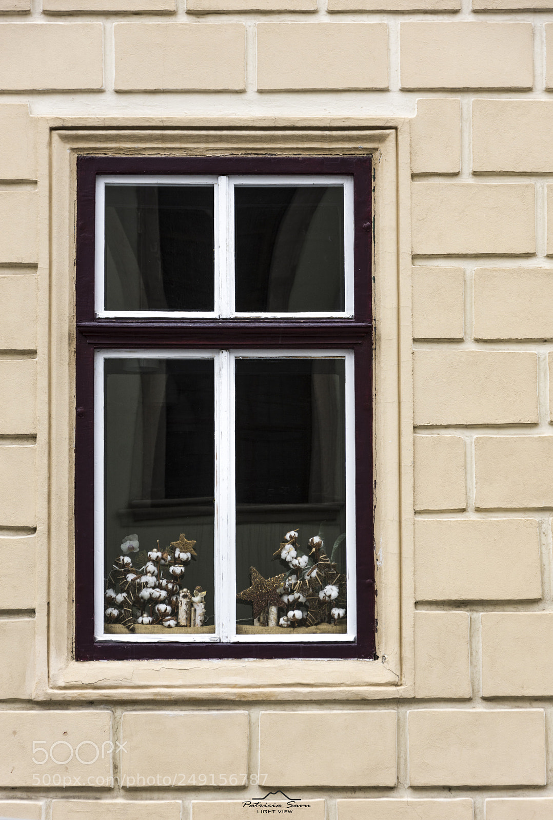 Nikon D7200 sample photo. Window surprises! photography