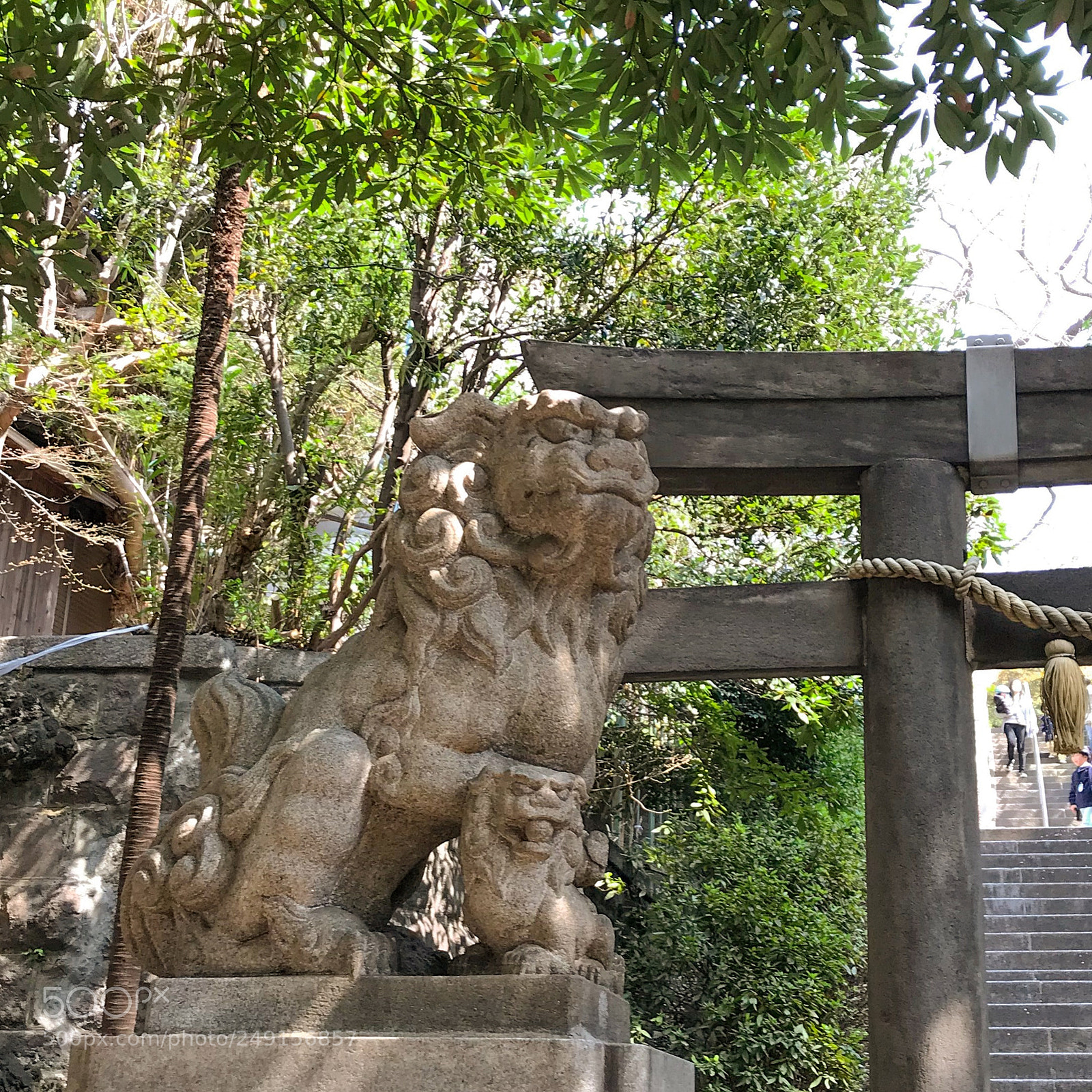 Apple iPhone 7 sample photo. 恵  #78 photography