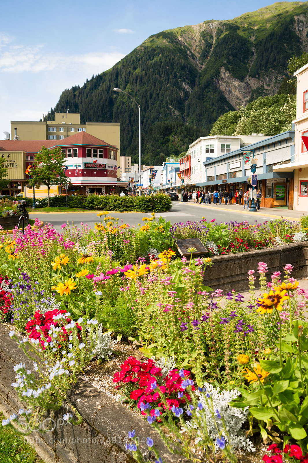 Sony Alpha DSLR-A850 sample photo. Juneau, alaska united staes photography