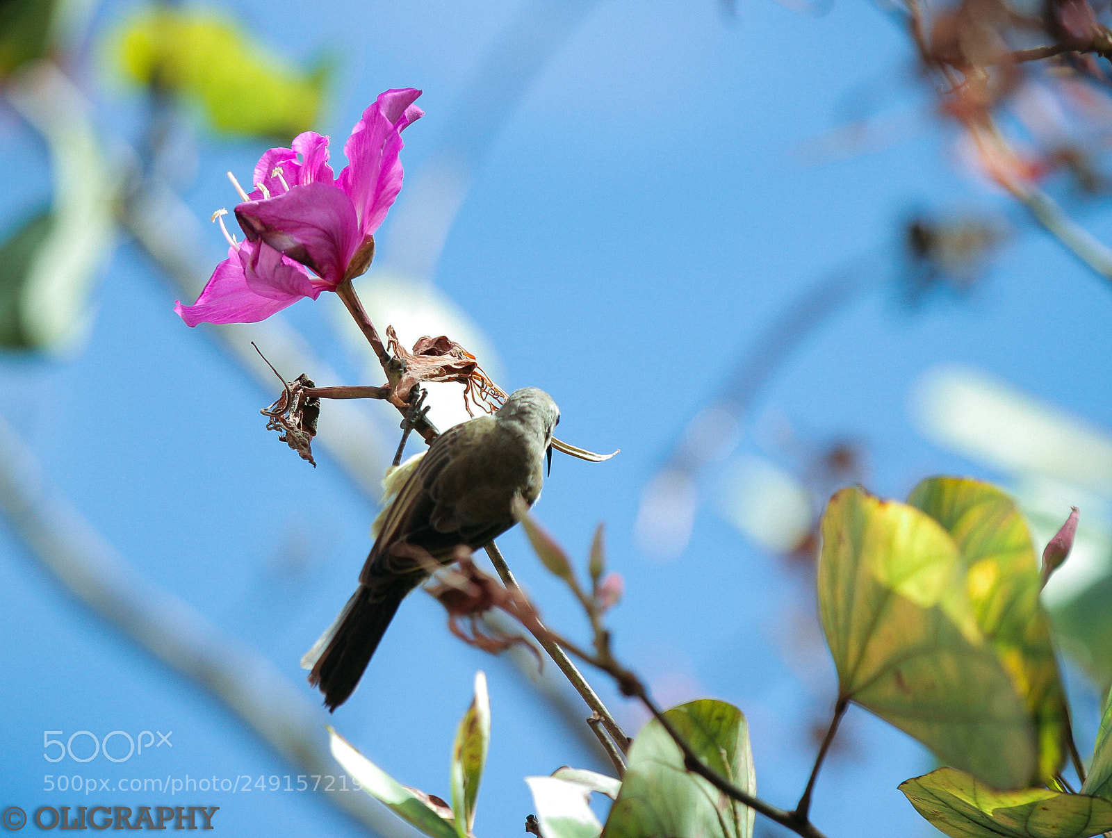 Canon EOS 7D sample photo. Img_9821-2.jpg photography