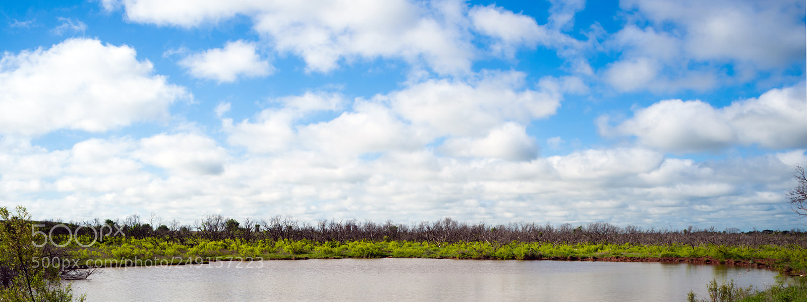 Sony Alpha DSLR-A900 sample photo. Ranch pond green grass photography