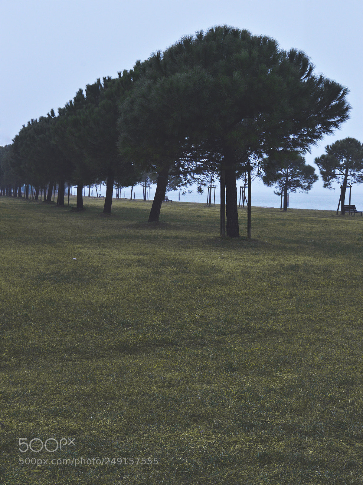 Nikon D3200 sample photo. Don't go photography