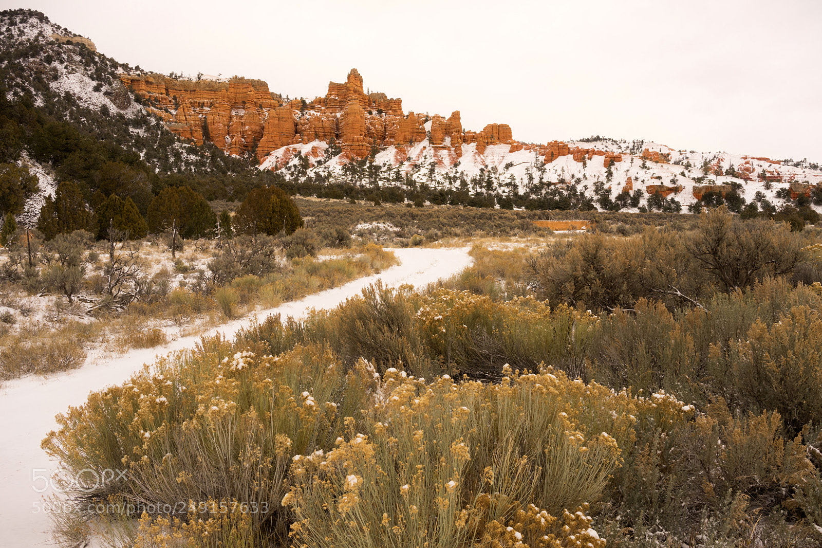 Sony a7 sample photo. Red canyon dixie national photography
