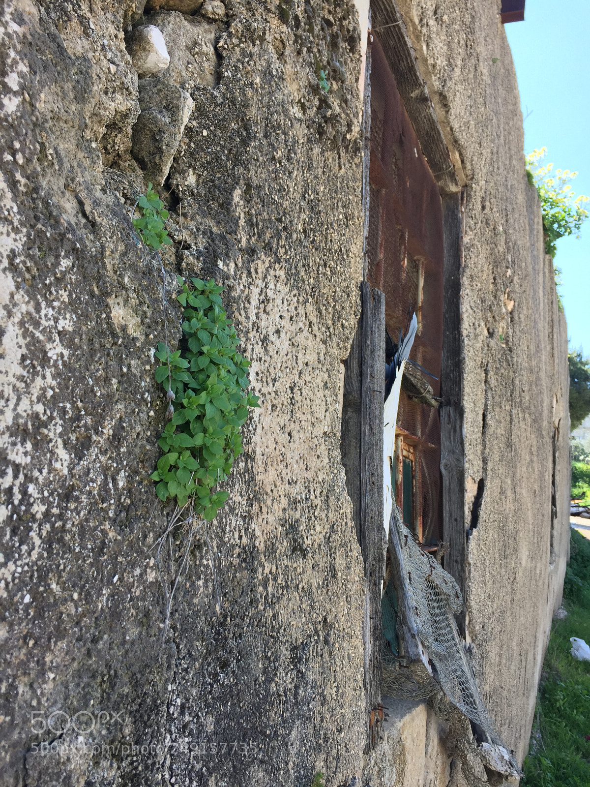 Apple iPhone 6 sample photo. Untitled photography
