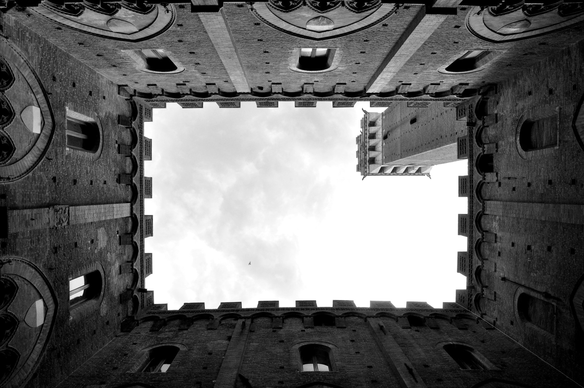 Nikon D90 sample photo. Bn photography
