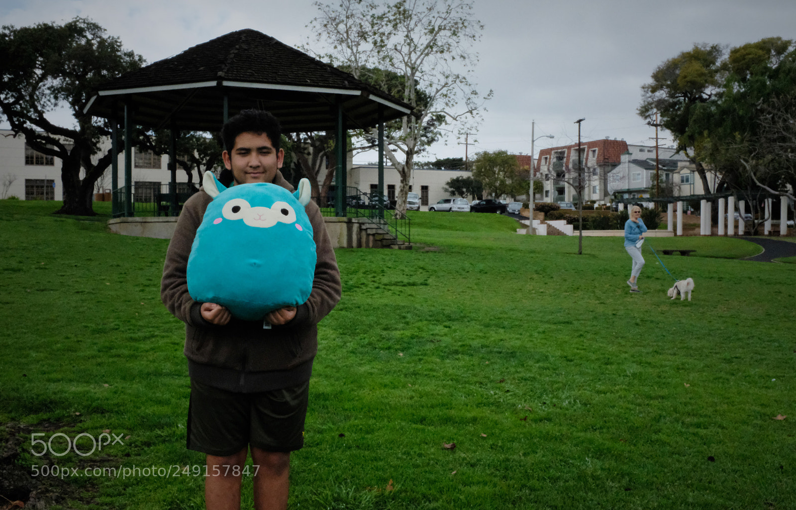 Fujifilm X100F sample photo. Gazebo and z. photography