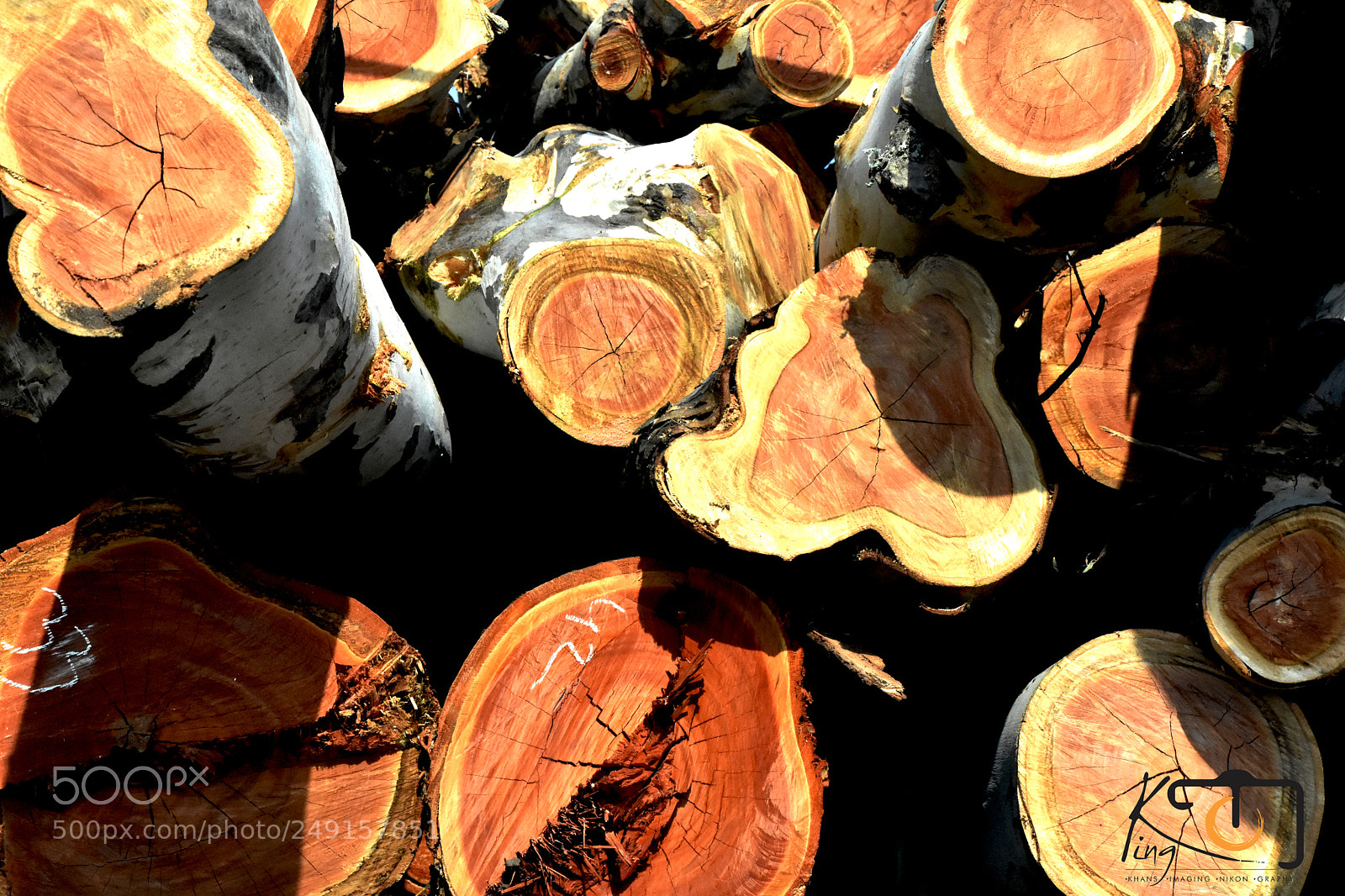 Nikon D3400 sample photo. Wood photography