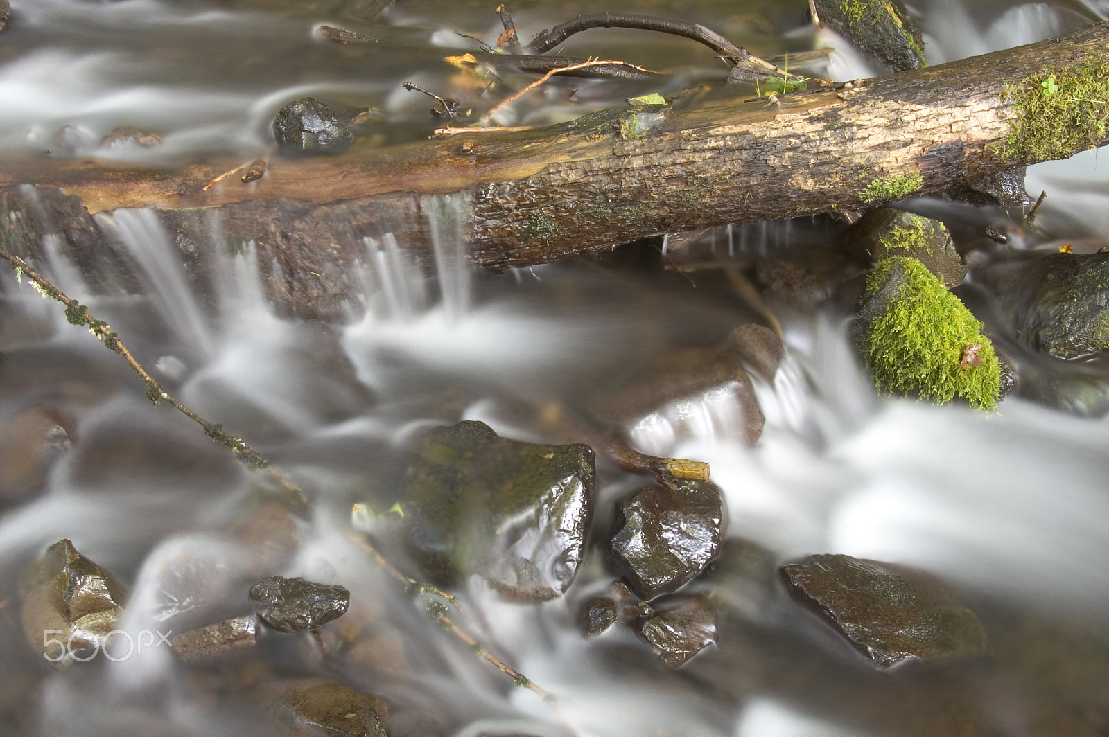 KONICA MINOLTA MAXXUM 7D sample photo. Green mossy ferns grow rocks water flowing river stream photography