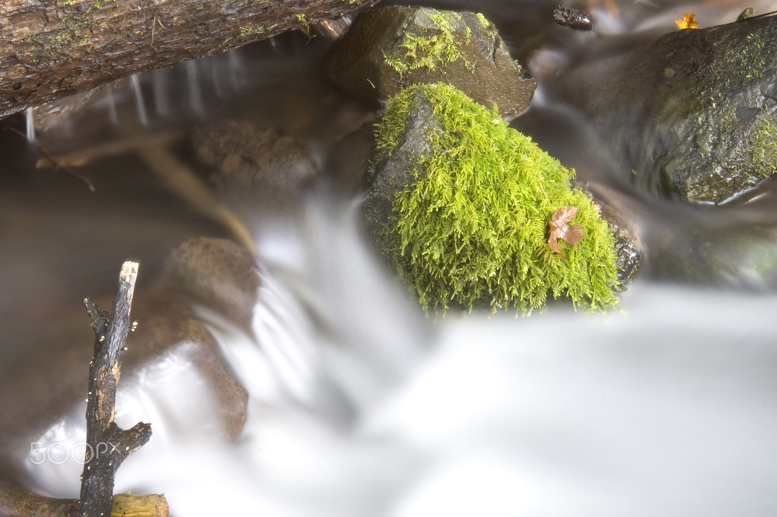 KONICA MINOLTA MAXXUM 7D sample photo. Green mossy ferns grow rocks water flowing river stream photography
