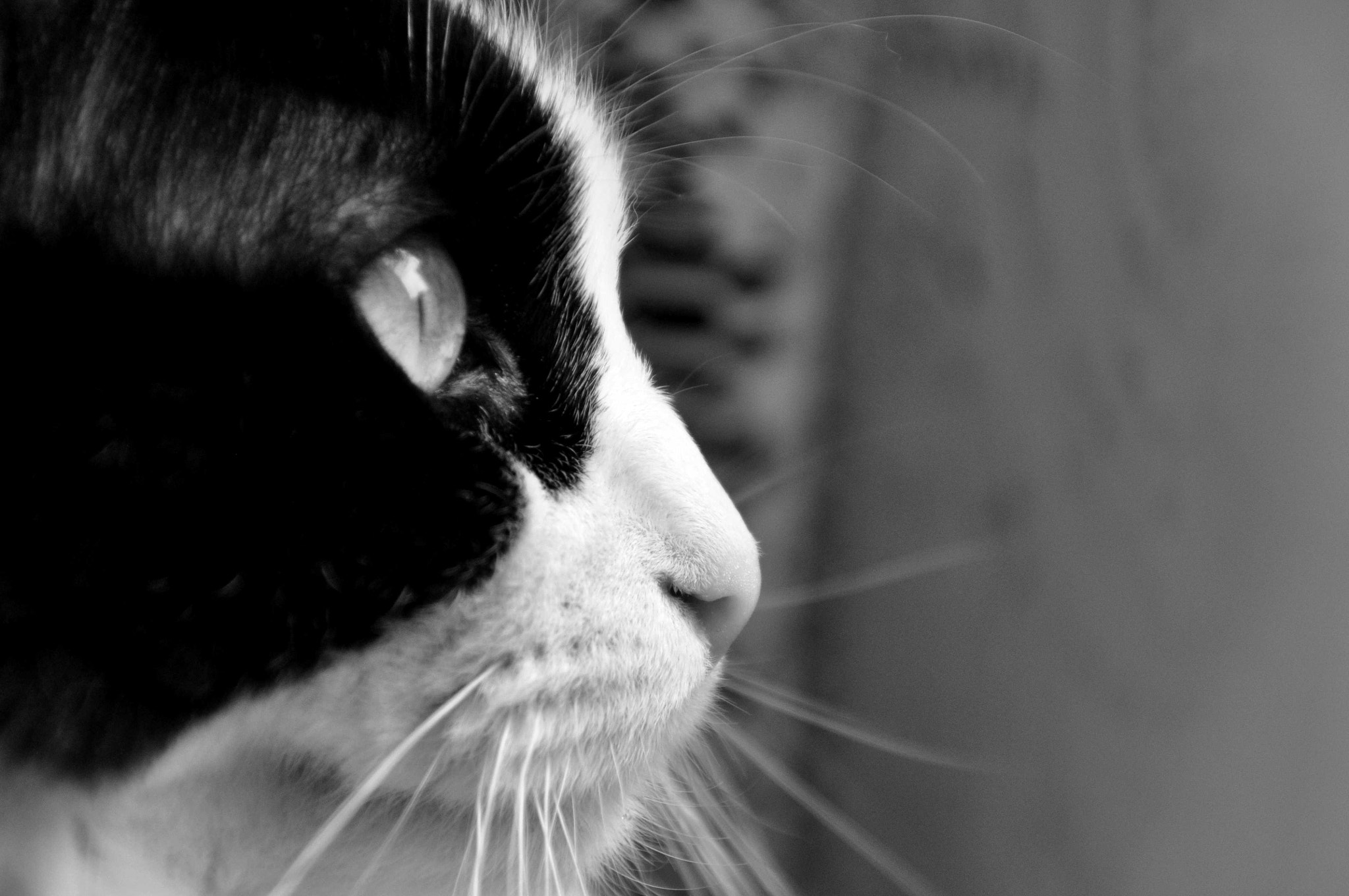 Nikon D90 sample photo. Minu photography