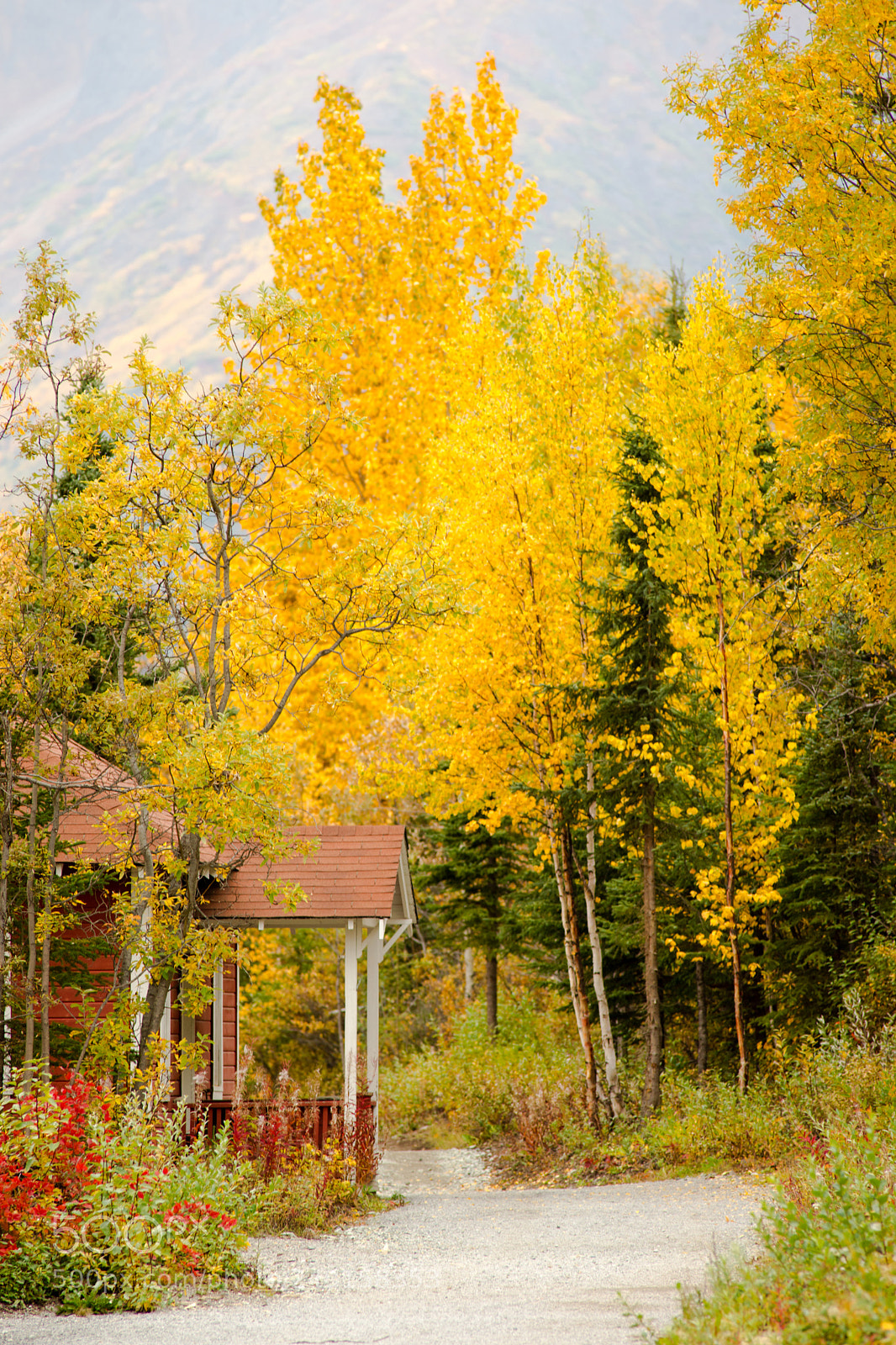 Sony Alpha DSLR-A850 sample photo. Red porch yellow leaves photography