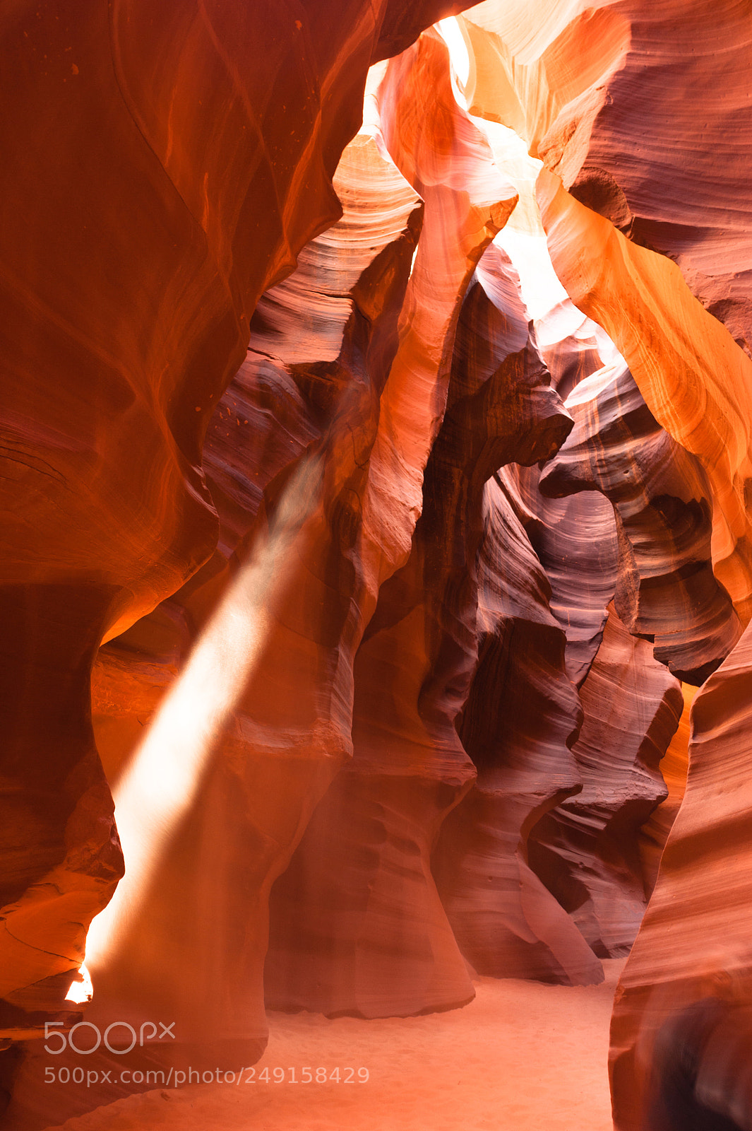 Sony Alpha DSLR-A350 sample photo. Sunlight beams into antelope photography