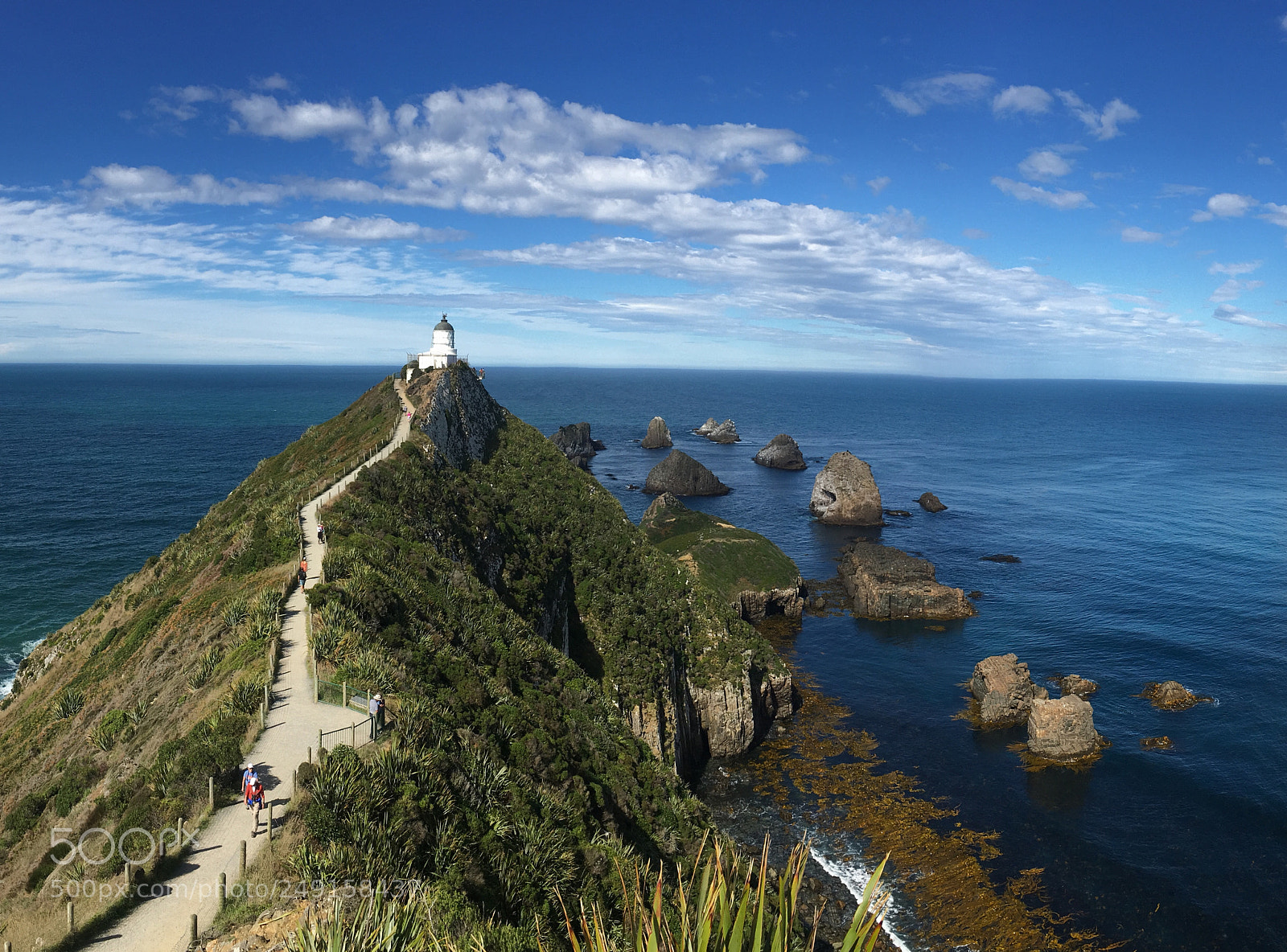 Apple iPhone 6s sample photo. Nugget point lighthouse photography