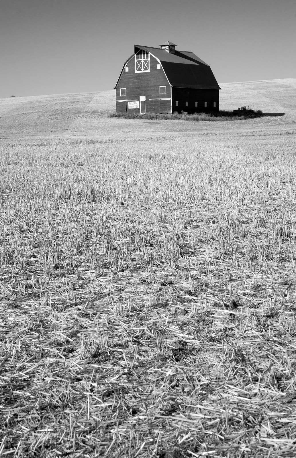 Sony Alpha DSLR-A850 sample photo. Classic black white farm photography