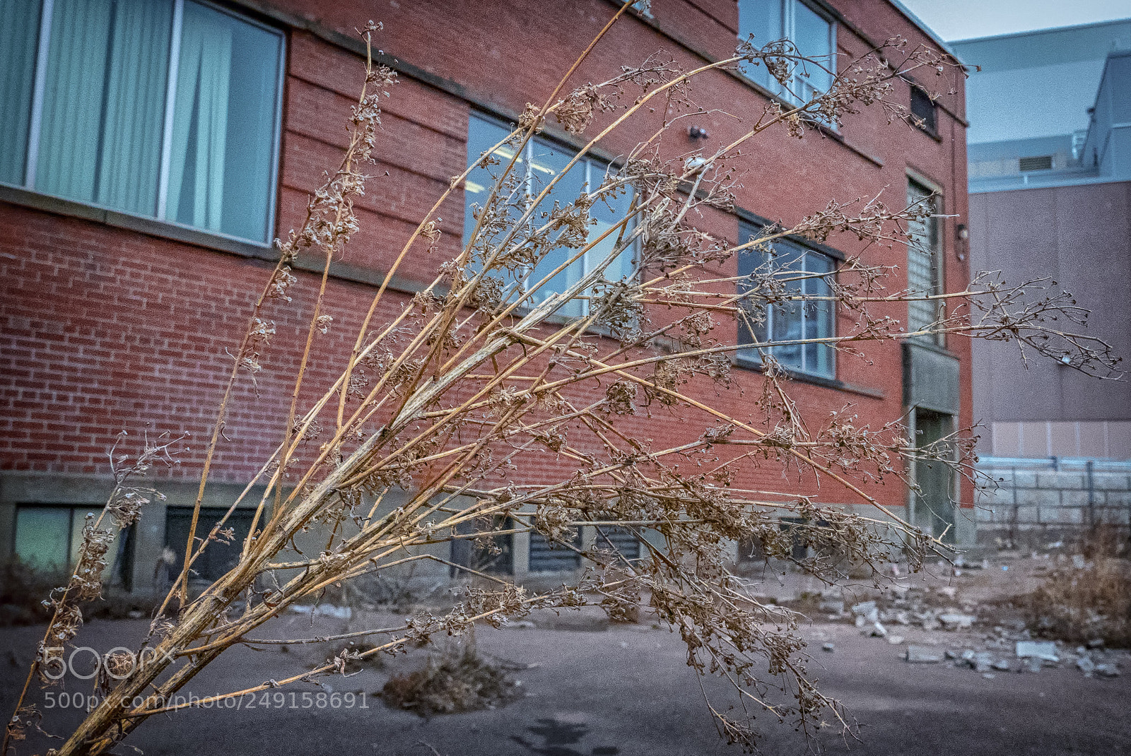 Panasonic Lumix DMC-LX100 sample photo. Remembrance of things past. photography