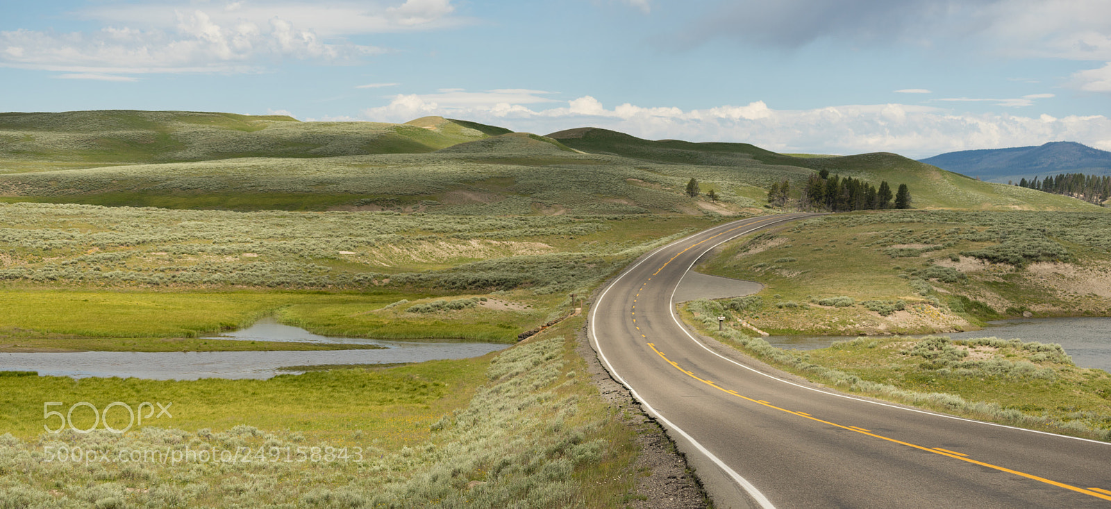 Sony a7 sample photo. Road crosses over elk photography