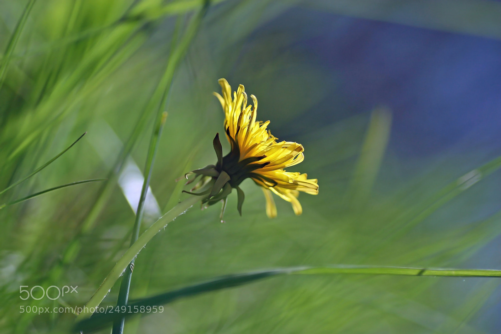 Canon EOS 30D sample photo. ... photography