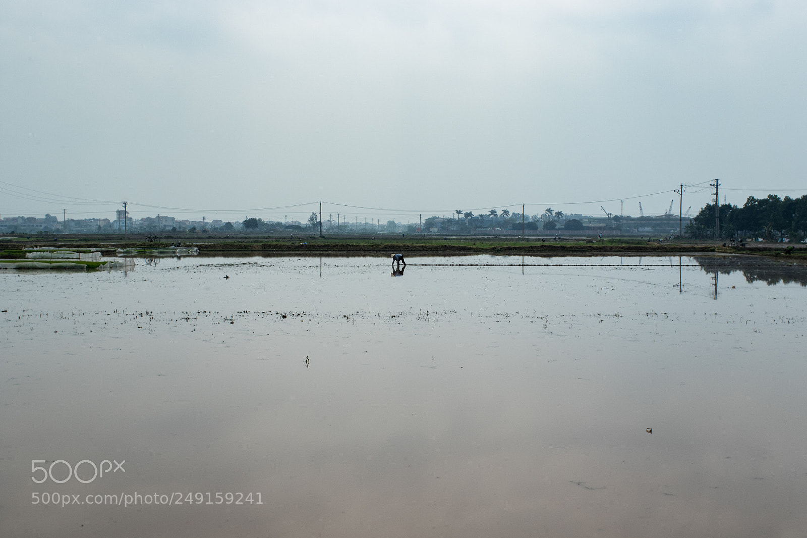 Canon EOS 7D Mark II sample photo. ... photography