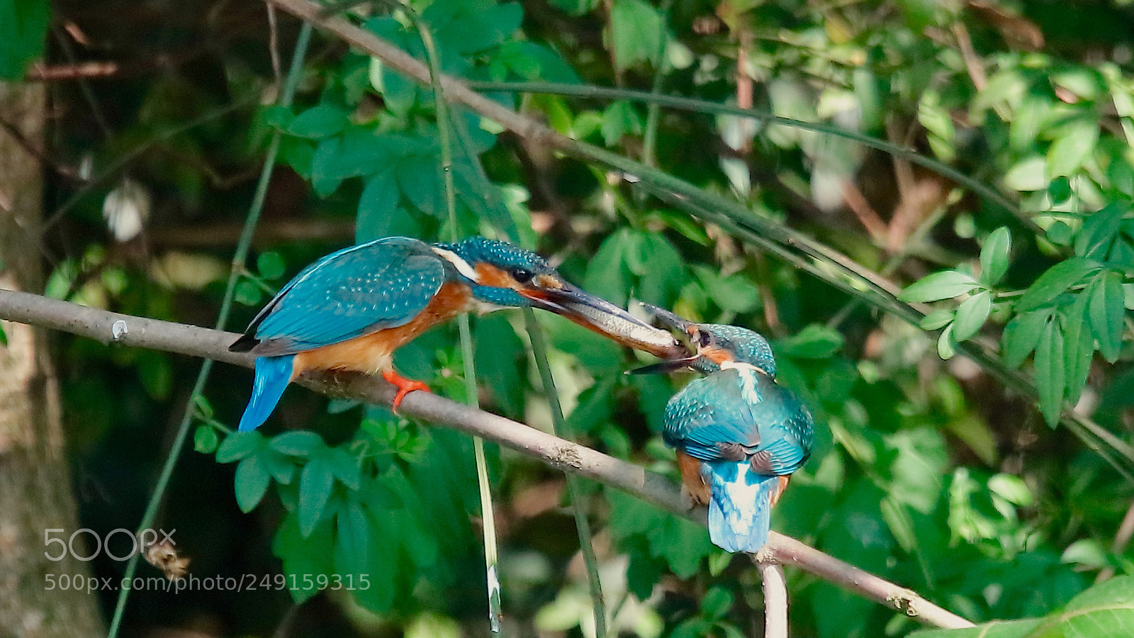 Canon EOS 5DS sample photo. Untitled photography