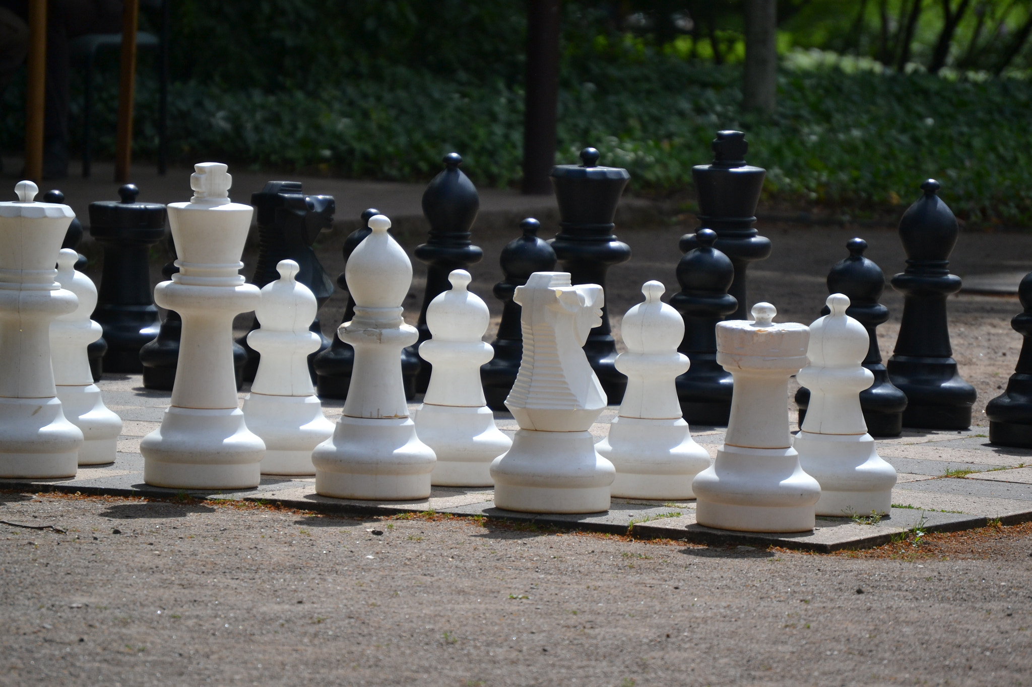 Nikon D3100 sample photo. Chess outdoor photography