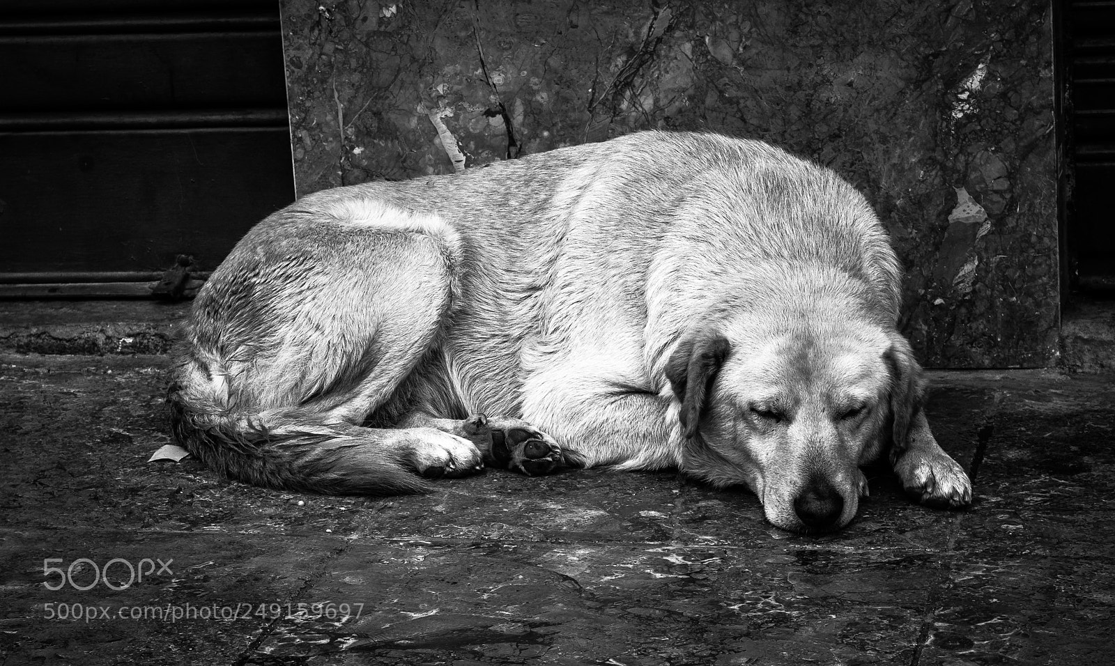 Nikon D7200 sample photo. Untitled photography