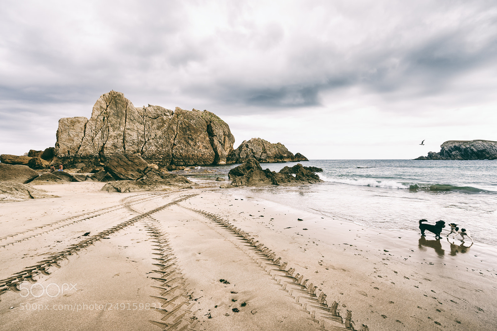 Sony a7 II sample photo. Idyllic view of arnia photography