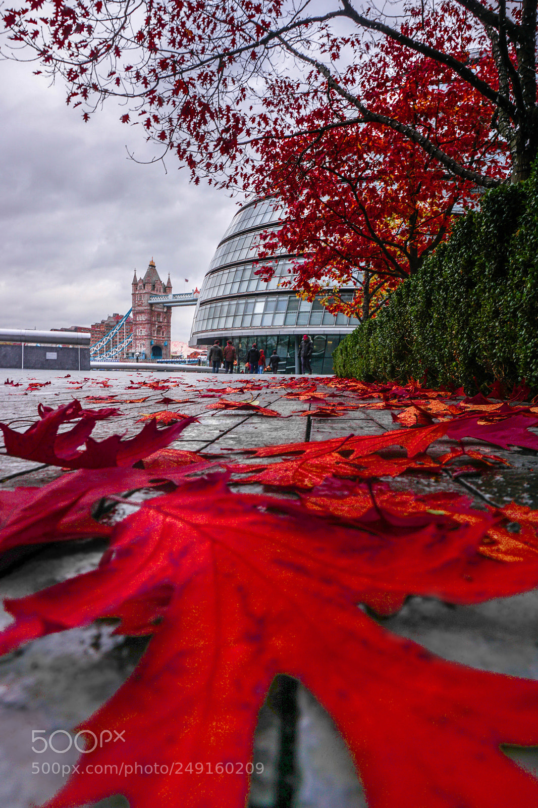 Sony a6000 sample photo. Red london photography