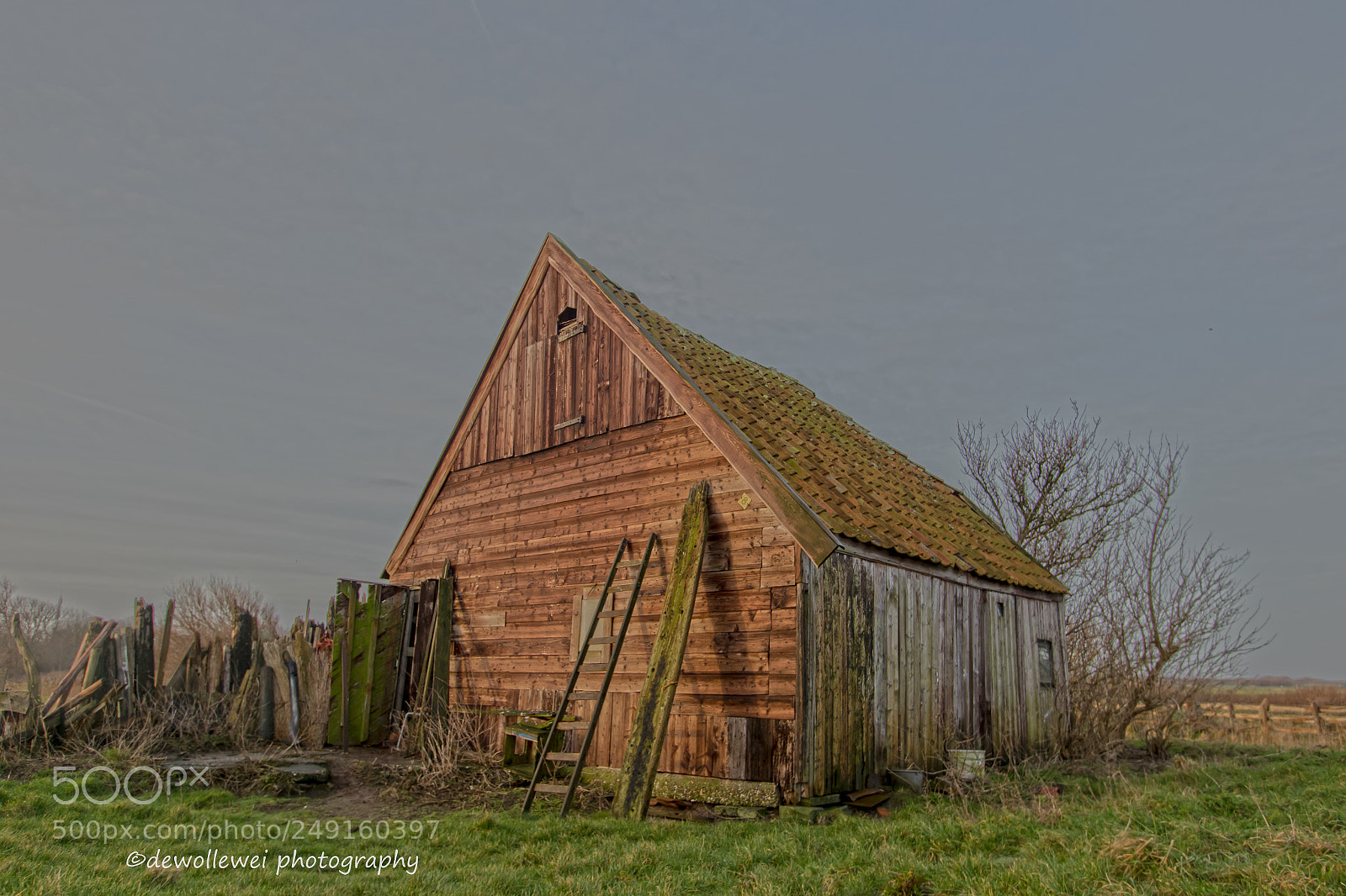Canon EOS 7D Mark II sample photo. Texel' s boetje photography